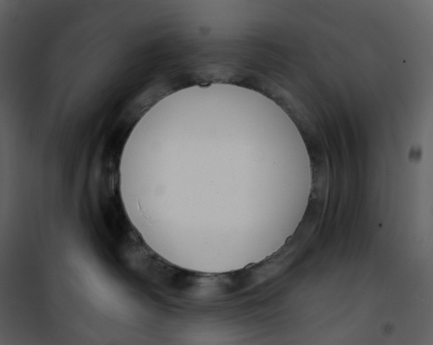 X0000100750334200807171418