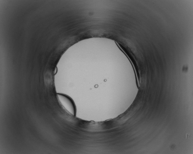 X0000100750335200807171418