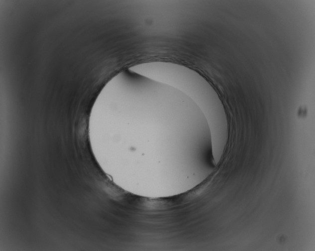 X0000100750336200807171417
