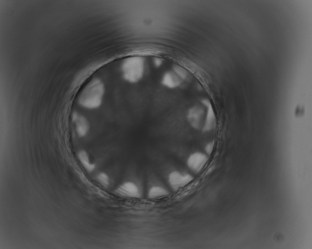 X0000100750337200807171417