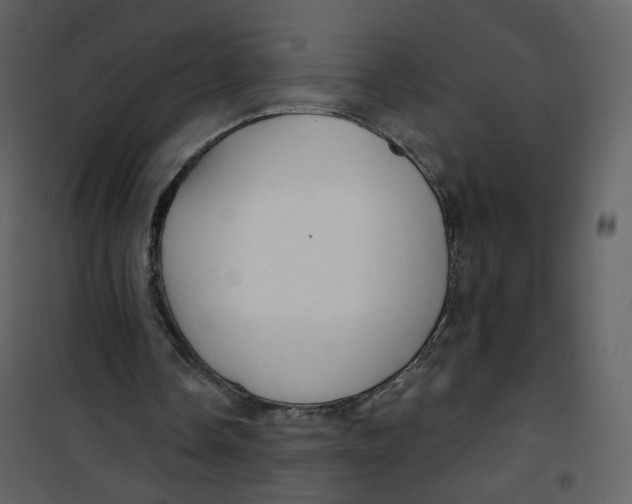 X0000100750338200807171417