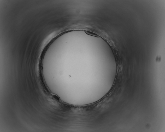 X0000100750340200807171417