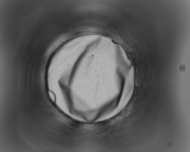X0000100750341200807171417