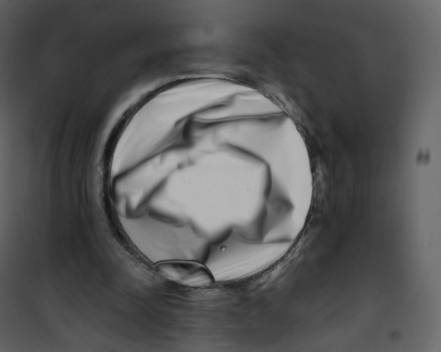 X0000100750342200807171417