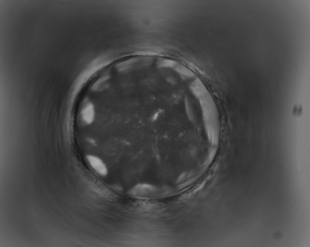 X0000100750343200807171417