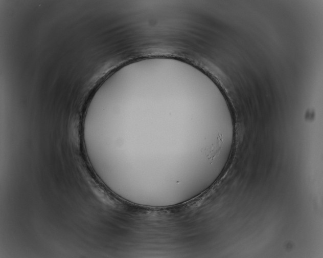 X0000100750345200807171417