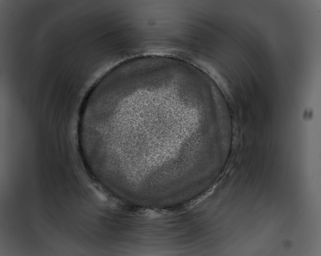 X0000100750346200807171417
