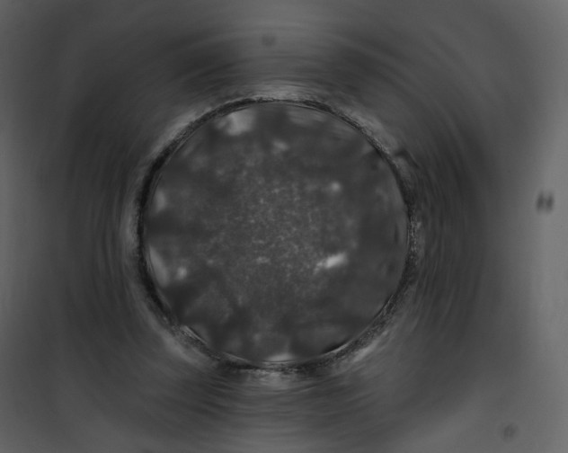 X0000100750347200807171417
