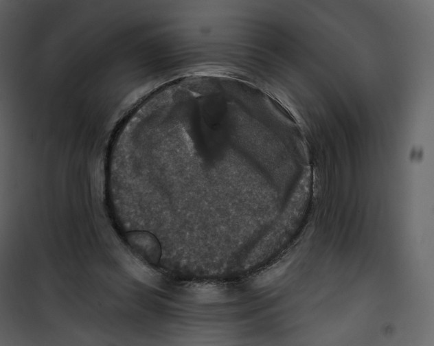 X0000100750349200807171417
