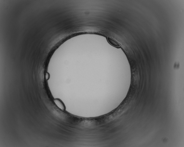 X0000100750350200807171417