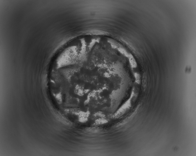 X0000100750351200807171417