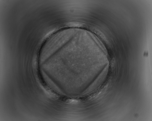 X0000100750352200807171417