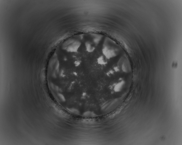 X0000100750353200807171417