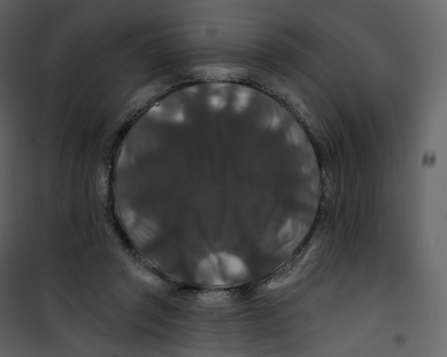 X0000100750357200807171417