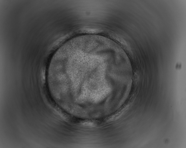 X0000100750358200807171417