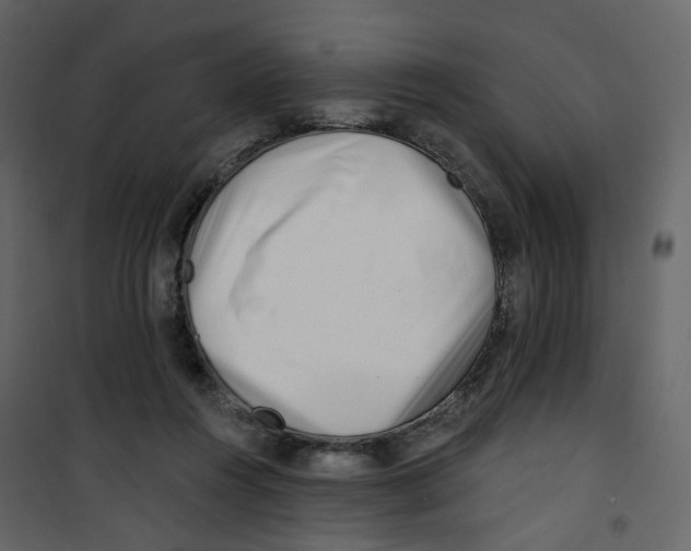 X0000100750360200807171417