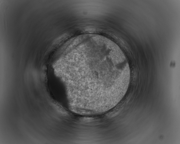 X0000100750361200807171417