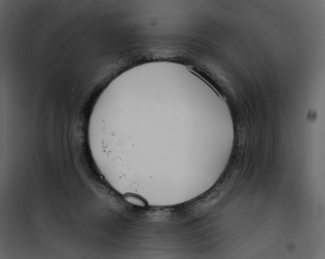 X0000100750362200807171417