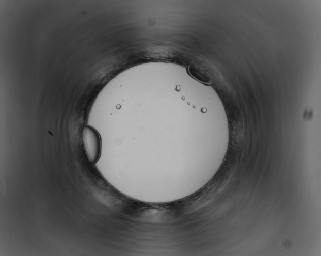 X0000100750364200807171417