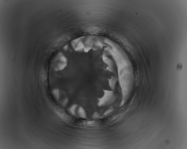 X0000100750365200807171417