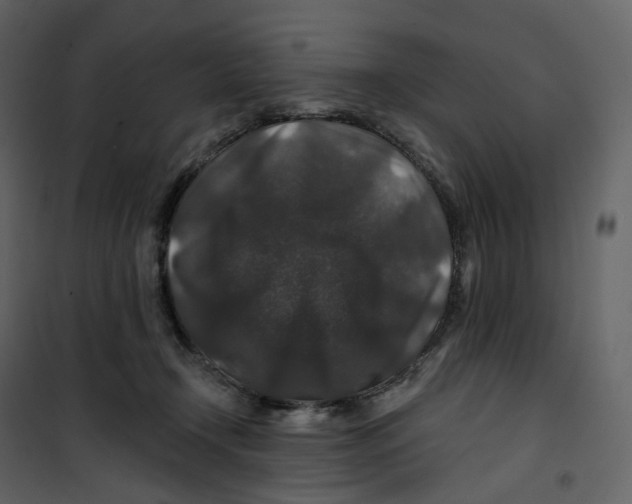 X0000100750366200807171417