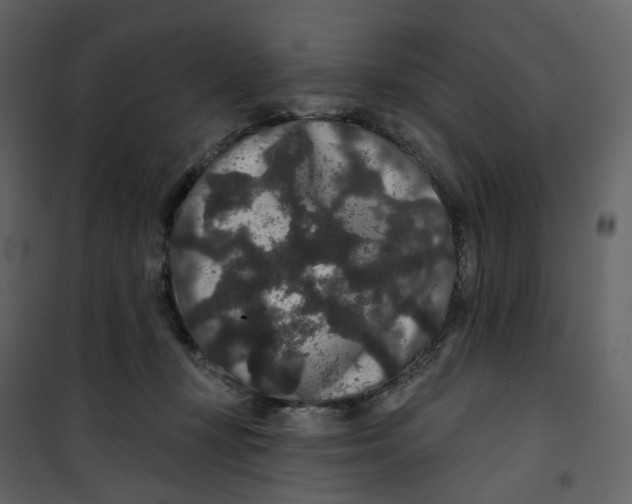 X0000100750367200807171417