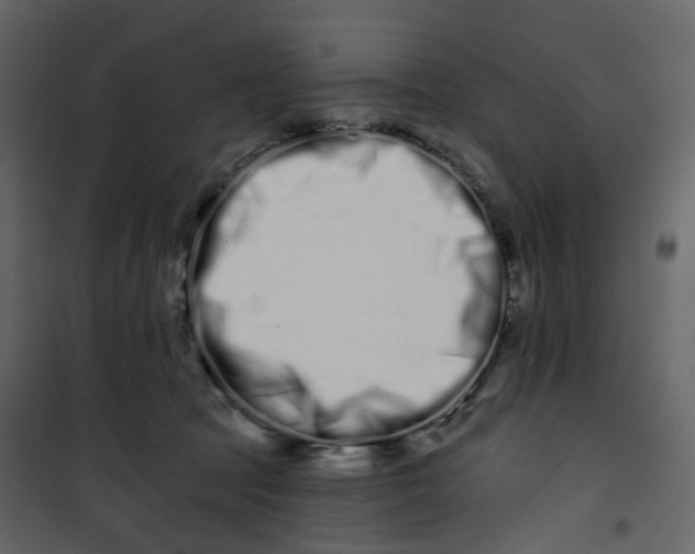 X0000100750369200807171417