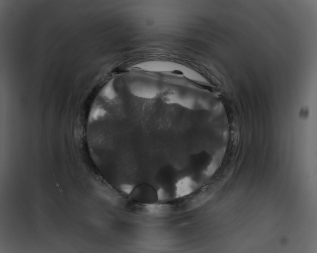 X0000100750371200807171417