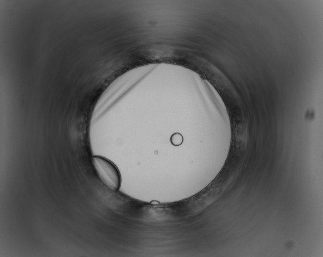 X0000100750372200807171417