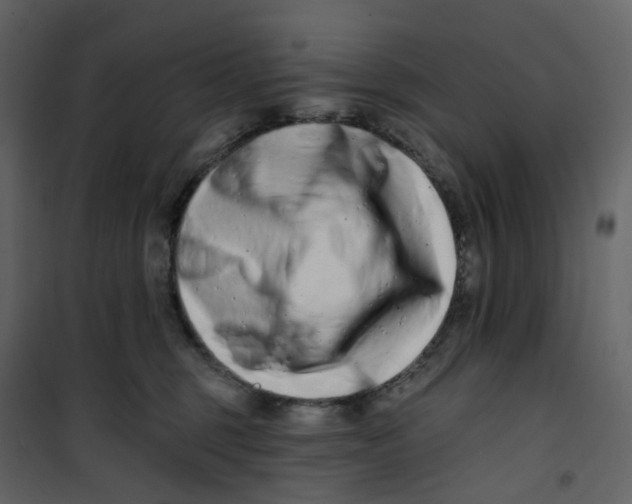 X0000100750375200807171417