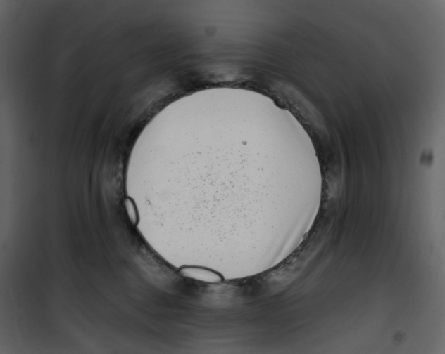 X0000100750376200807171417