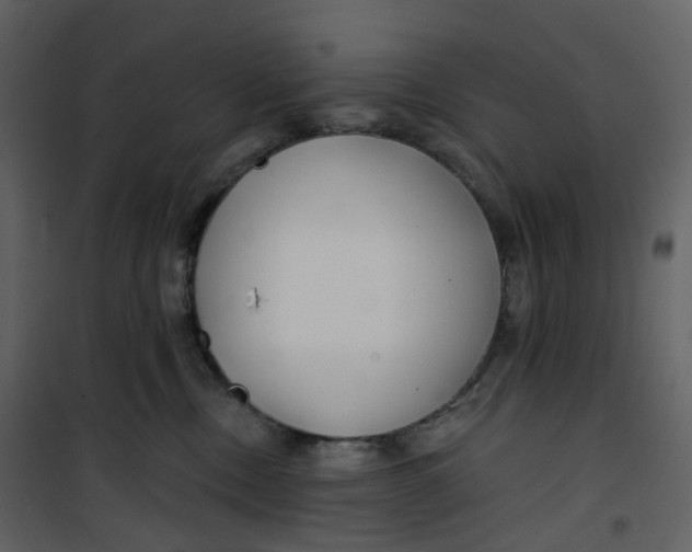 X0000100750378200807171417