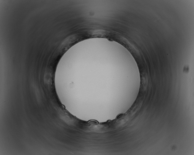 X0000100750379200807171417
