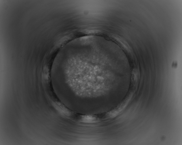X0000100750380200807171417
