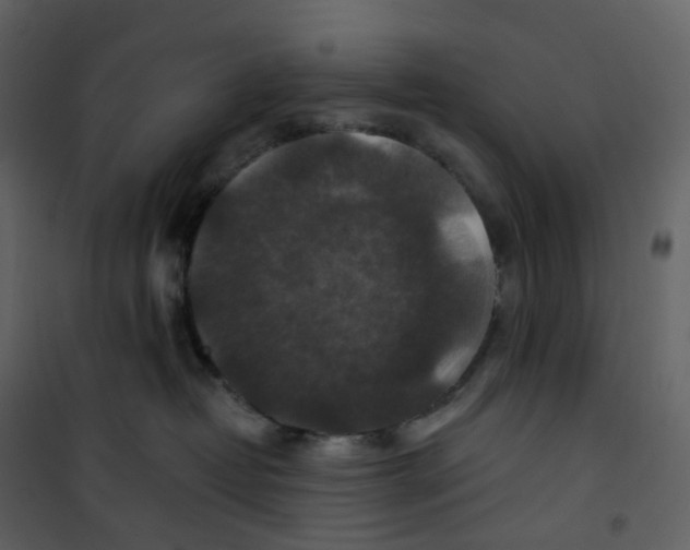 X0000100750382200807171417