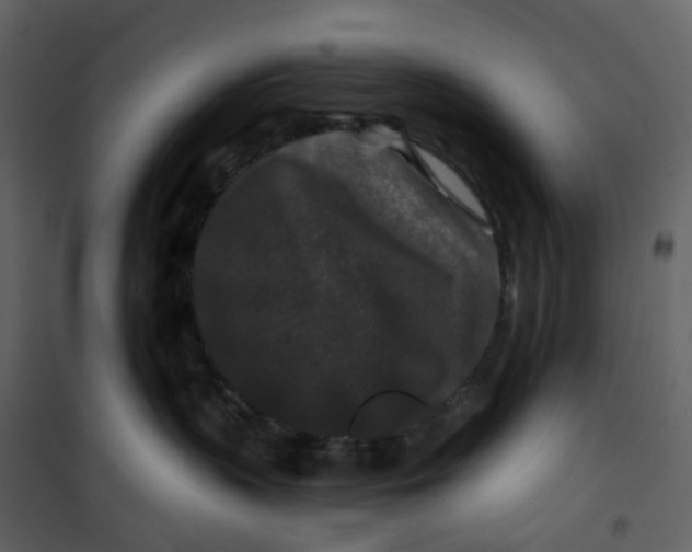 X0000100750383200807171417
