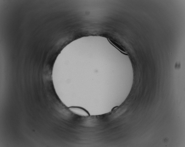 X0000100750384200807171417