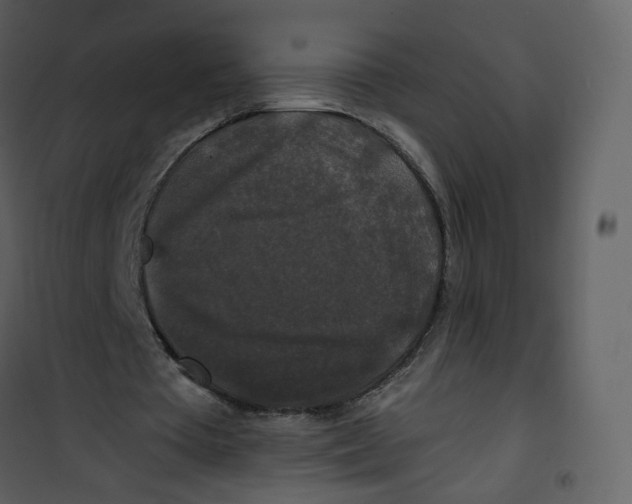 X0000100750385200807171417
