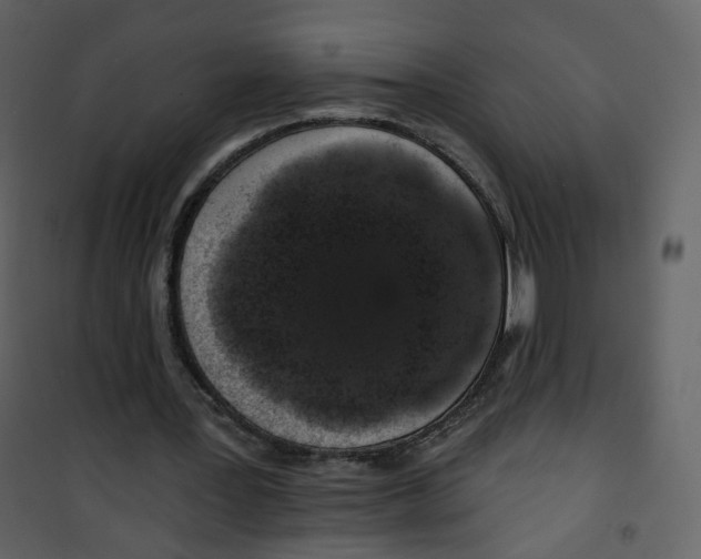 X0000100750387200807171417