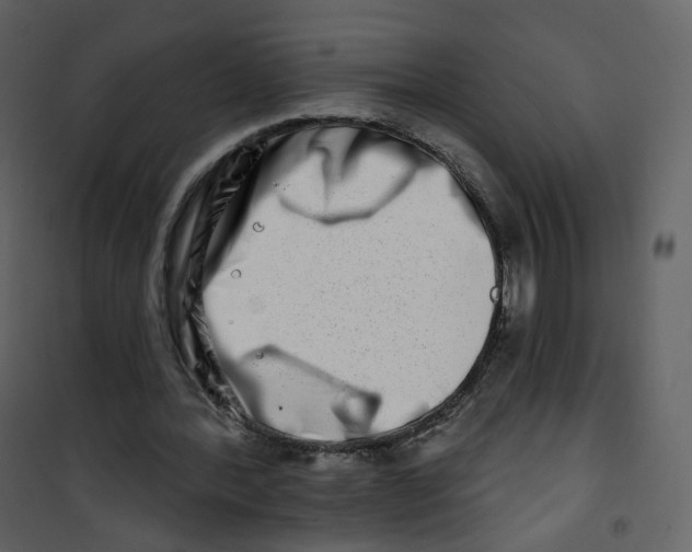 X0000100750388200807171417