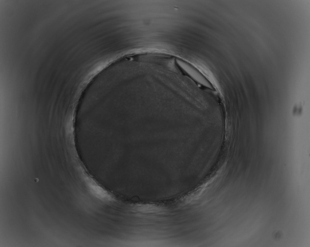 X0000100750389200807171417