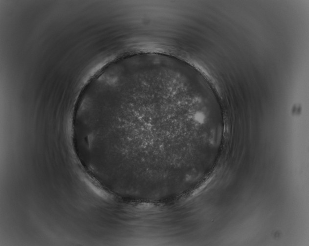 X0000100750390200807171417