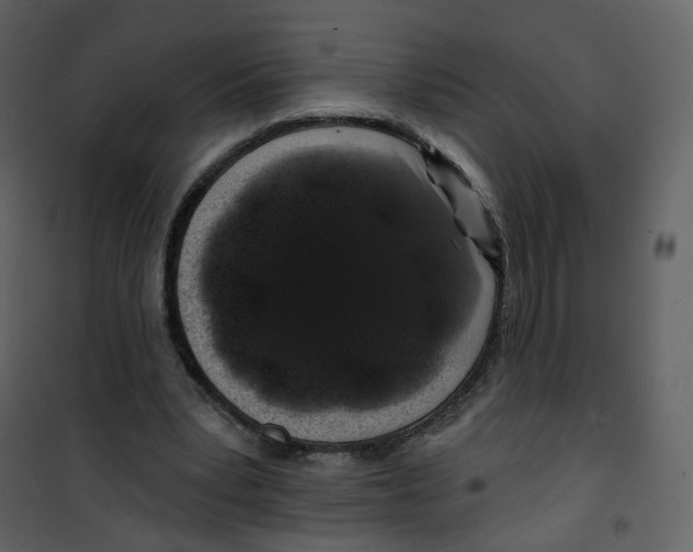 X0000100750391200807171417