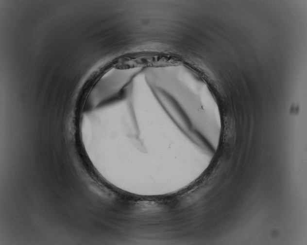 X0000100750392200807171417