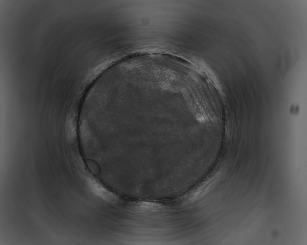 X0000100750393200807171417