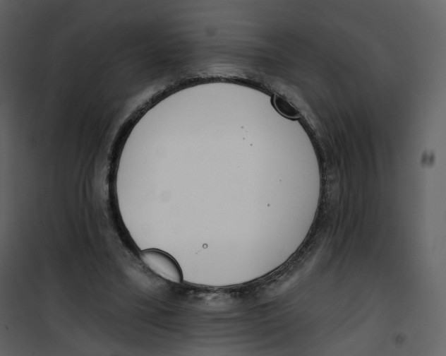 X0000100750395200807171416
