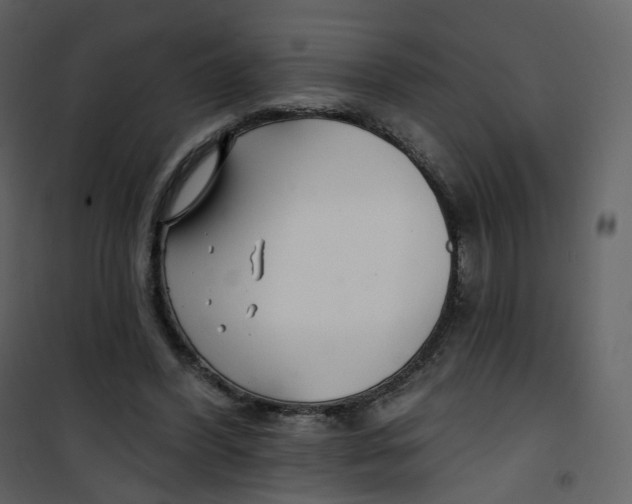X0000100750396200807171416