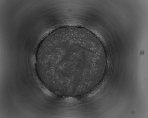 X0000100750397200807171416