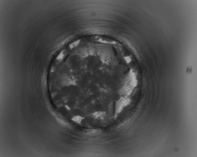 X0000100750398200807171416