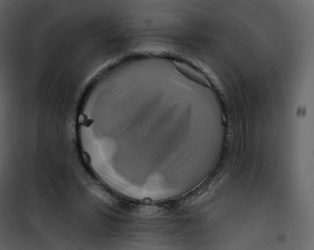 X0000100750399200807171416